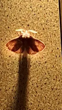 4055e0af-2287-4795-a4e1-a48c42564f7a.webp 4055e0af-2287-4795-a4e1-a48c42564f7a.webp