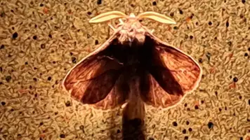 6f07def4-7bb9-47a5-9eaf-b31ee337f539.webp 6f07def4-7bb9-47a5-9eaf-b31ee337f539.webp