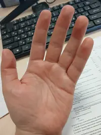 17895374064055932081616914204341.webp