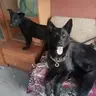 Anyawww